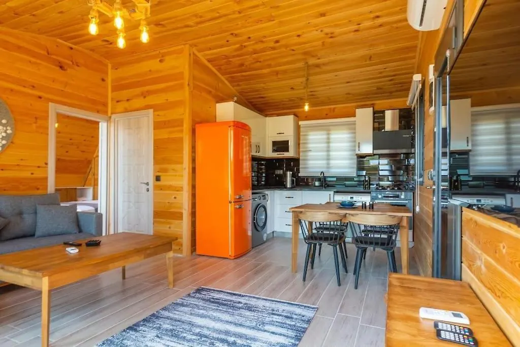 Villa Zeytin Havuzlu Jakuzili Fethiye
